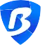 BitBrowser
